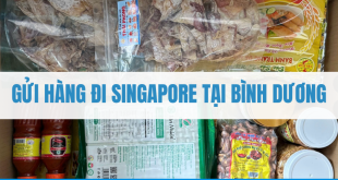 Gửi Hàng Đi Singapore Tại Bình Dương