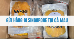 Gửi Hàng Đi Singapore Tại Cà Mau