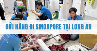 Gửi Hàng Đi Singapore Tại Long An