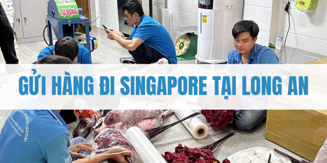 Gửi Hàng Đi Singapore Tại Long An