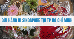 Gửi Hàng Đi Singapore Tại TP. Hồ Chí Minh