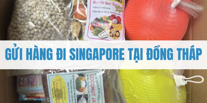 Gửi Hàng Đi Singapore Tại Đồng Tháp