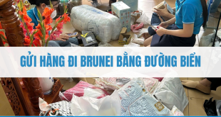 Gửi hàng đi Brunei bằng đường biển