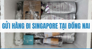 Gửi hàng đi Singapore tại Đồng Nai