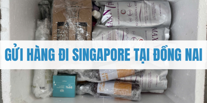 Gửi hàng đi Singapore tại Đồng Nai