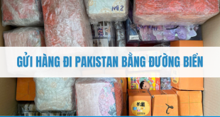 Gửi hàng đi pakistan bằng đường biển