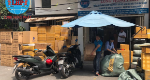 vận chuyển hàng đi Canada bằng đường tàu biển