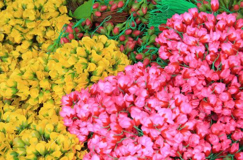 gửi hoa giả đi Mỹ