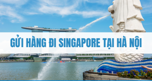 gửi hàng đi Singapore tại Hà Nội