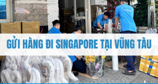 gửi hàng đi Singapore tại Vũng Tàu